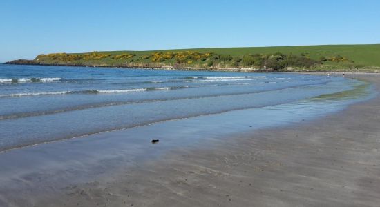 Browns Bay Beach