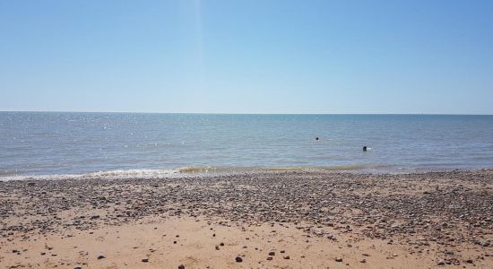 Cooden strand