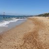 Boscombe Strand