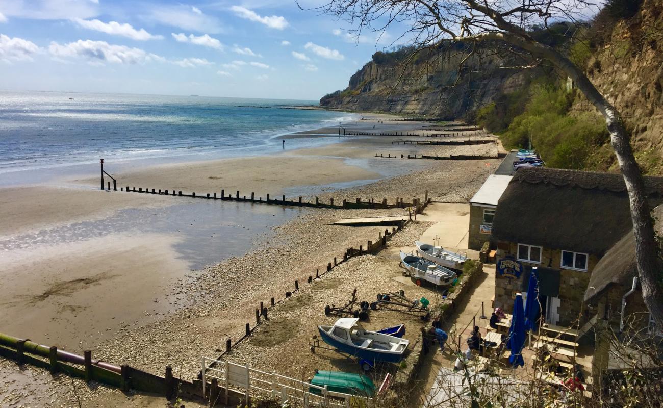 Foto af Shanklin Beach,Luccombe End med let sten overflade