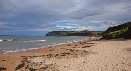 Skinningrove Strand