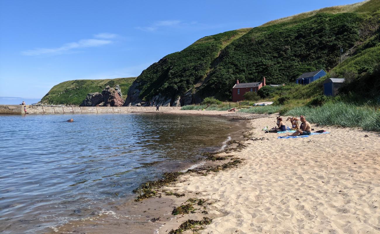 Foto af Cove Harbour med lys sand overflade