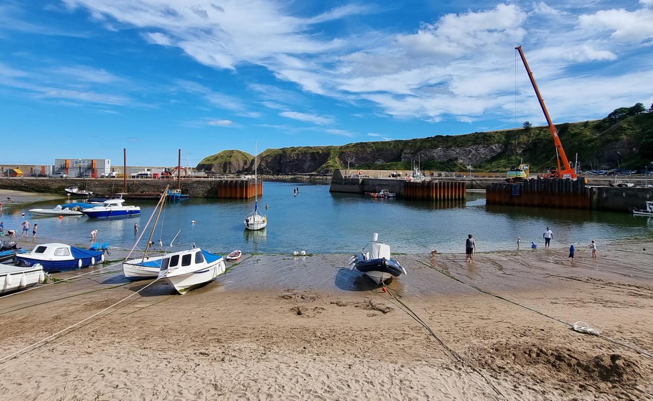 Foto af Stonehaven Harbour Beach med lys sand overflade