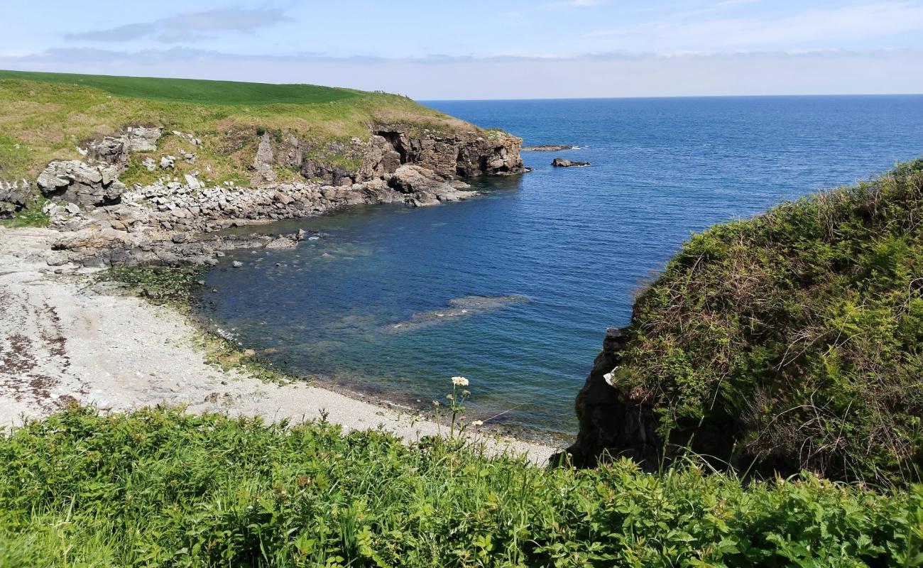 Foto af Newtonhill Beach med sten overflade