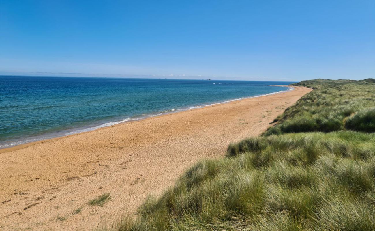 Foto af Scotstown Beach med lys sand overflade