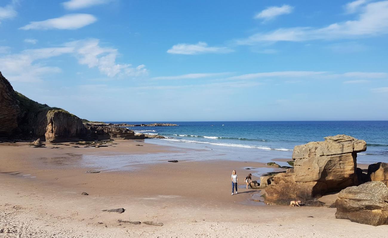 Foto af Cove Bay Beach med let sand og småsten overflade