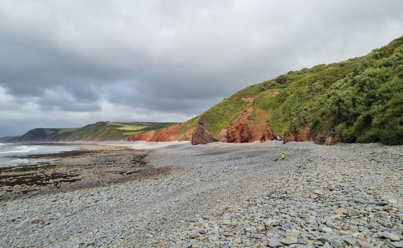 Foto af Peppercombe Strand med grå sten overflade