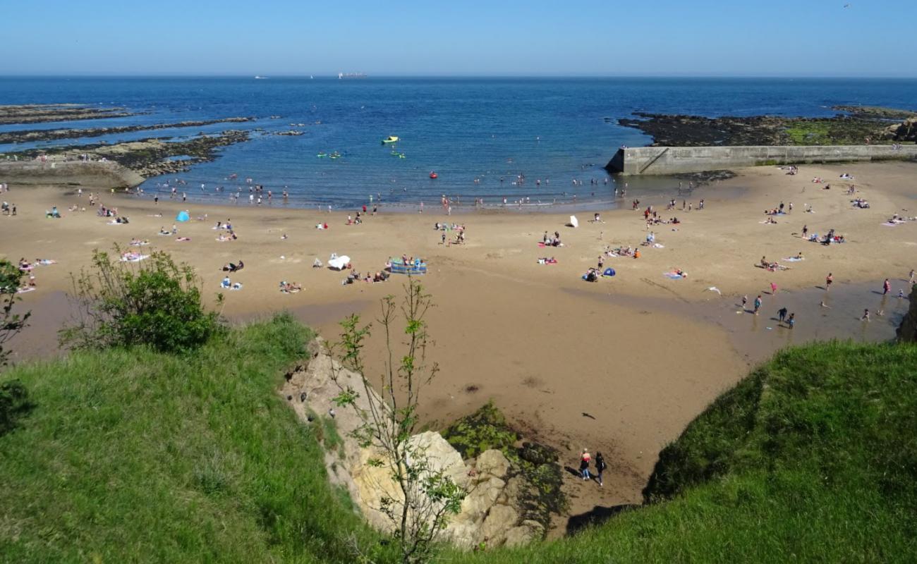 Foto af Cullercoats Strand med lys sand overflade