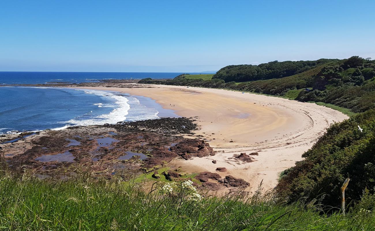 Foto af Seacliff Strand med lys sand overflade