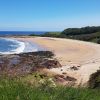 Seacliff Strand