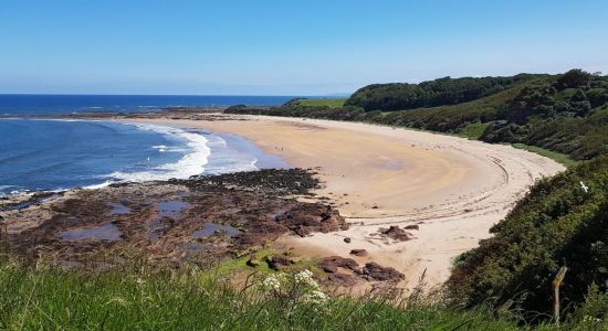 Seacliff Strand