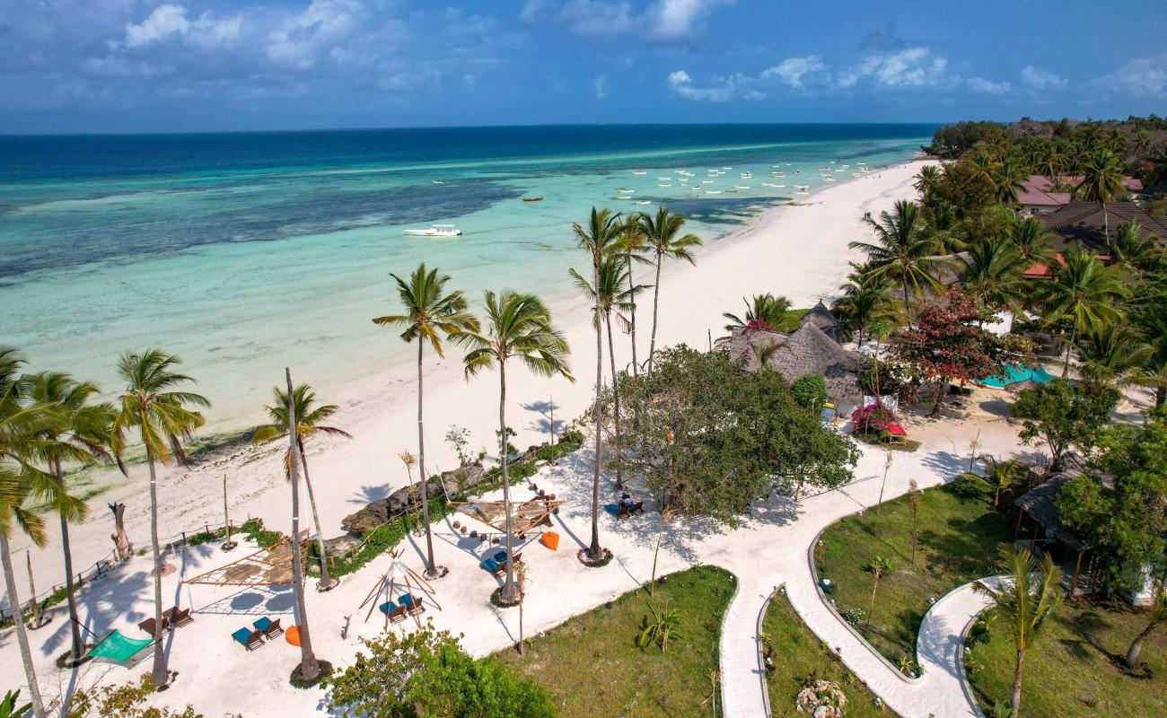 Foto af Kizimkazi Beach med lys fint sand overflade