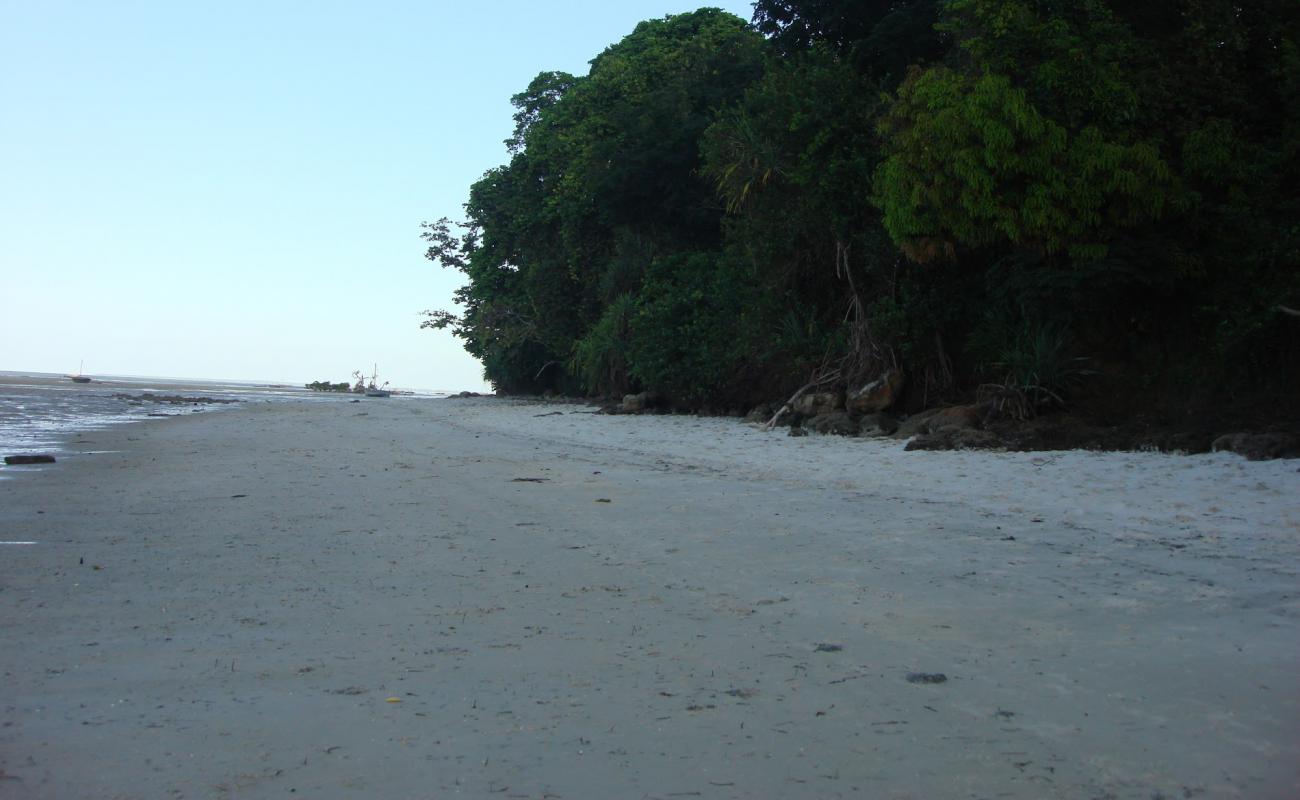 Foto af Msuka Beach med lys sand overflade