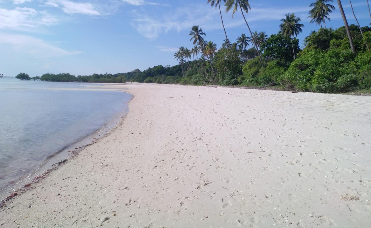 Foto af Fundu Lagoon med hvidt fint sand overflade