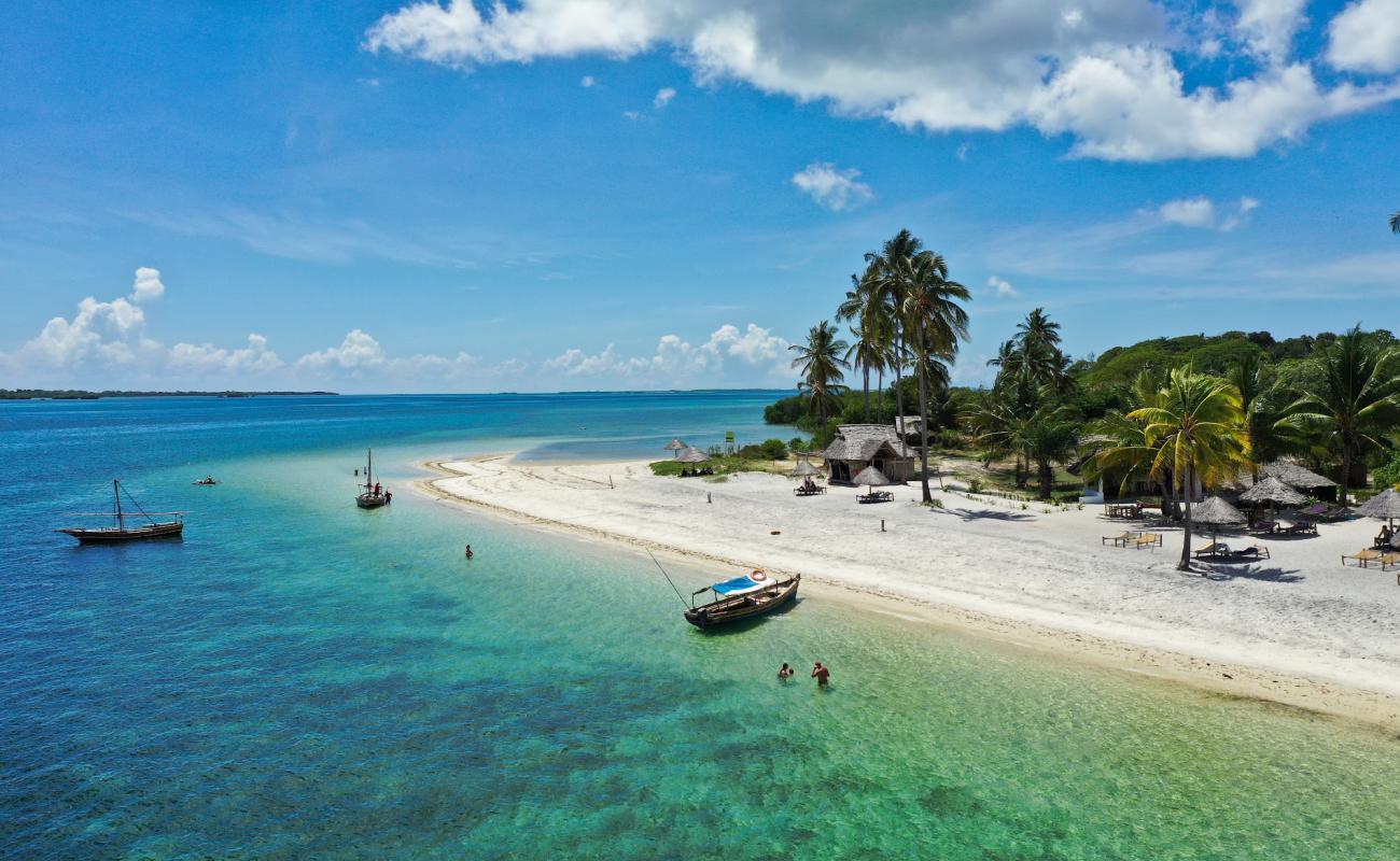 Foto af Mafia Island Strand med lys fint sand overflade