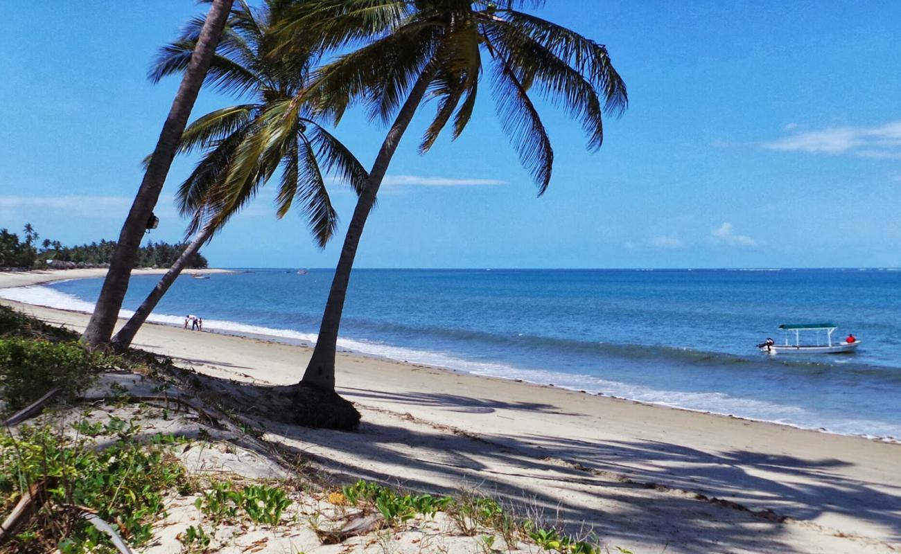 Foto af Ushongo Beach med lys sand overflade