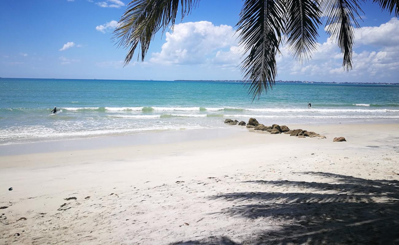 Foto af Mbongoland beach med lys sand overflade