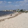 Shell Point Beach