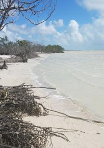 Conch Key