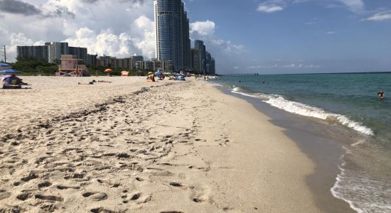 Haulover beach