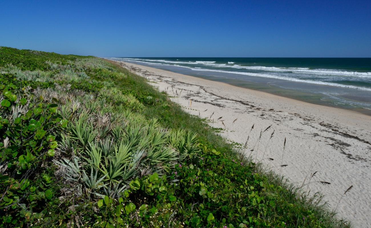 Foto af Playalinda beach med lys sand overflade