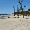 Daufuskie Island