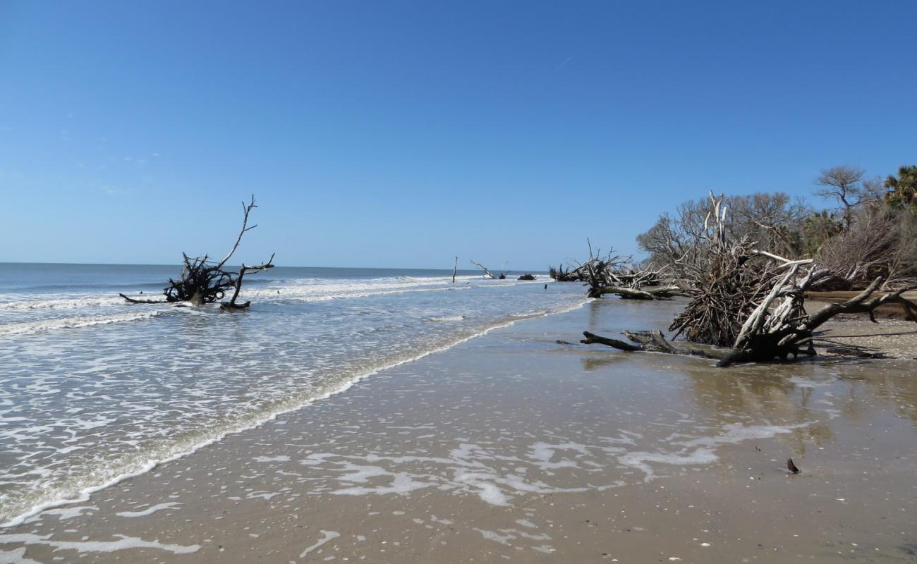 Foto af Driftwood beach med grå sand overflade