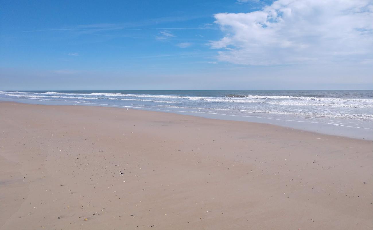 Foto af Sea Haven beach med lys sand overflade