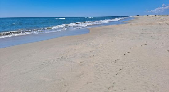 Assateague Strand