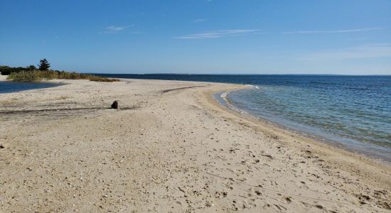 South Jamesport Beach