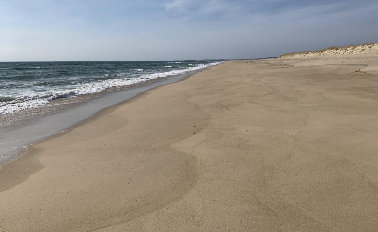 Foto af Long Point Beach med lys sand overflade