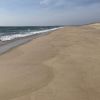 Long Point Beach