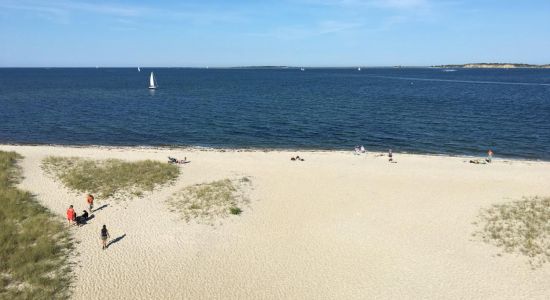 Edgartown Beach