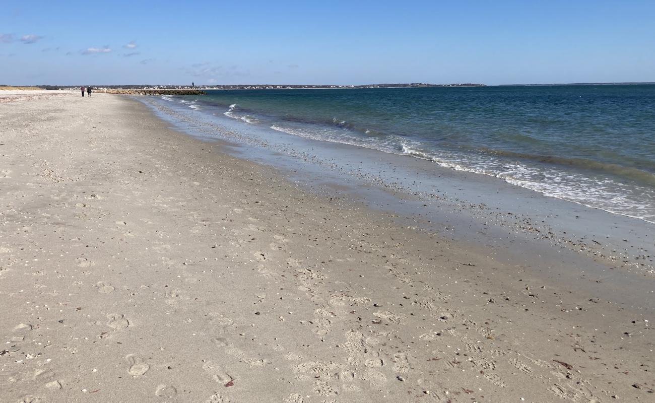 Foto af Dowses Beach med lys sand overflade