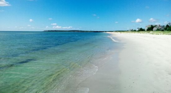 Seagull Beach