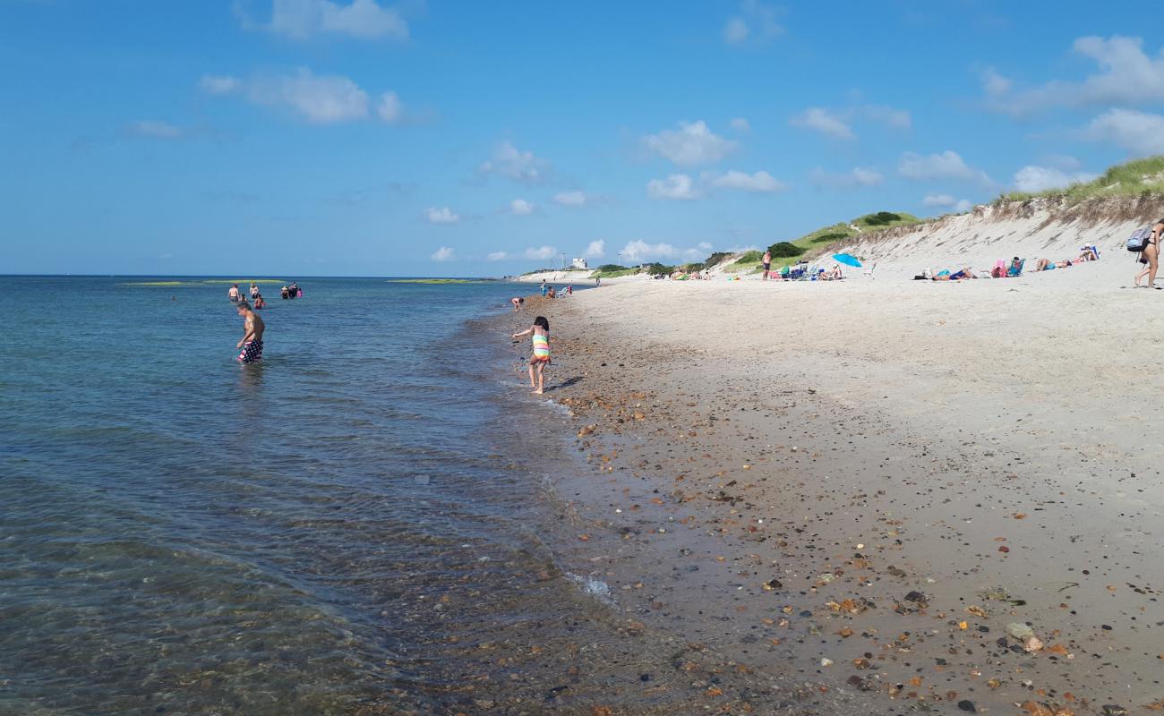 Foto af Chapin Memorial beach med lys sand overflade