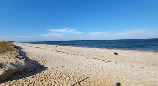 Sandy Neck Strand