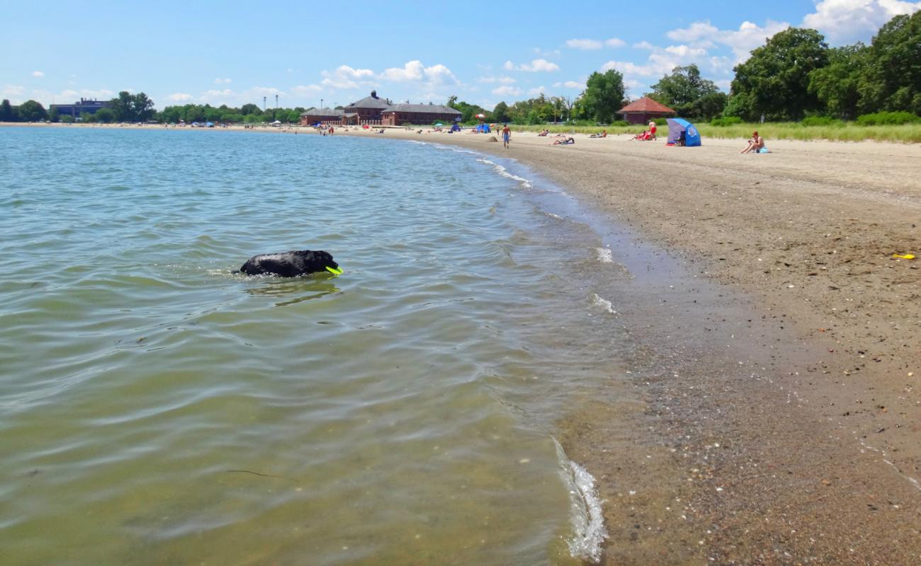 Foto af Carson beach med lys sand overflade