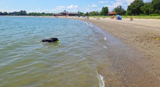 Carson beach