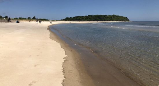 Plum Island beach