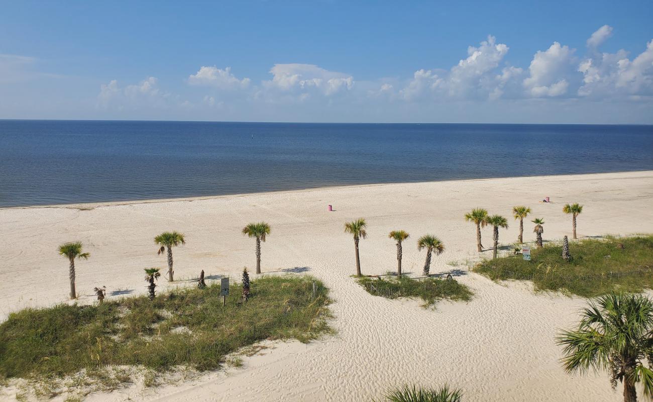 Foto af Henderson Point beach med hvidt fint sand overflade