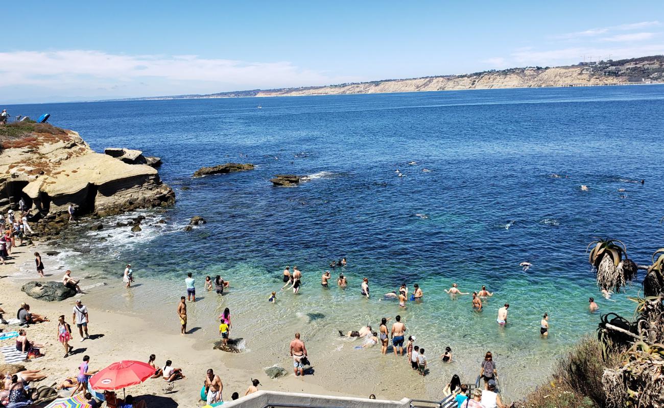 Foto af La Jolla Cove med lys sand overflade