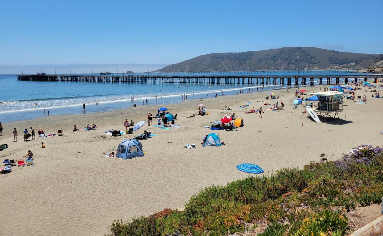 Foto af Avila Beach med lys sand overflade