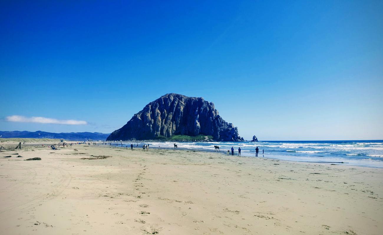 Foto af Morro Bay Beach med lys sand overflade