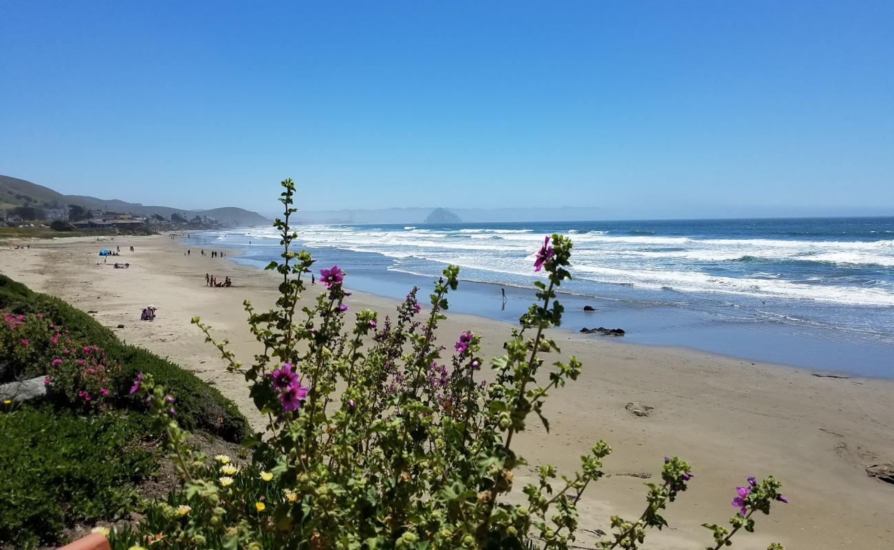 Foto af Morro Strand Beach - populært sted blandt afslapningskendere