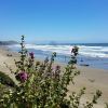 Morro Strand Beach