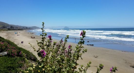 Morro Strand Beach