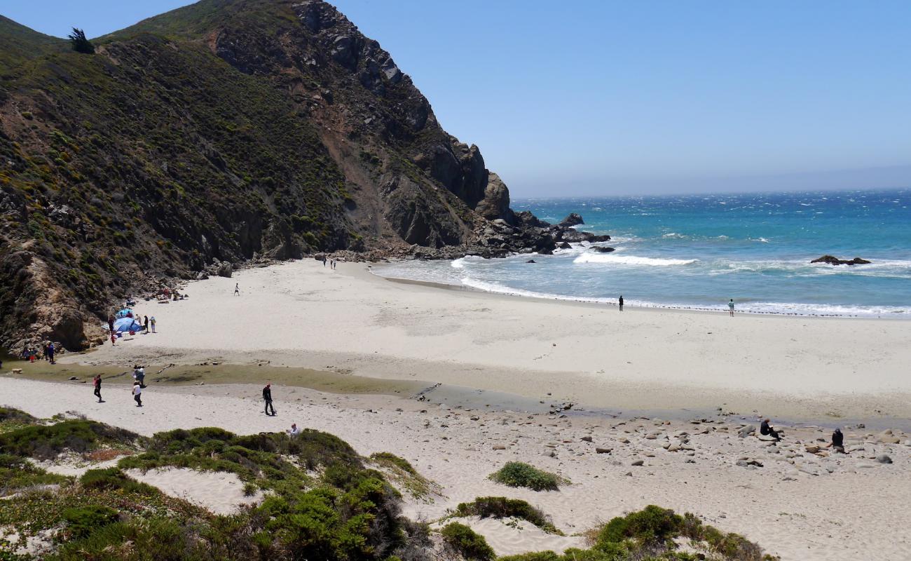 Foto af Pfeiffer Beach med let fin sten overflade