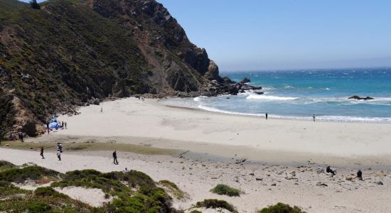 Pfeiffer Beach