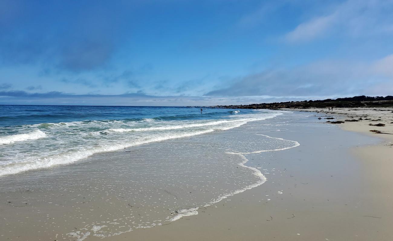 Foto af Moss Beach med lys sand overflade